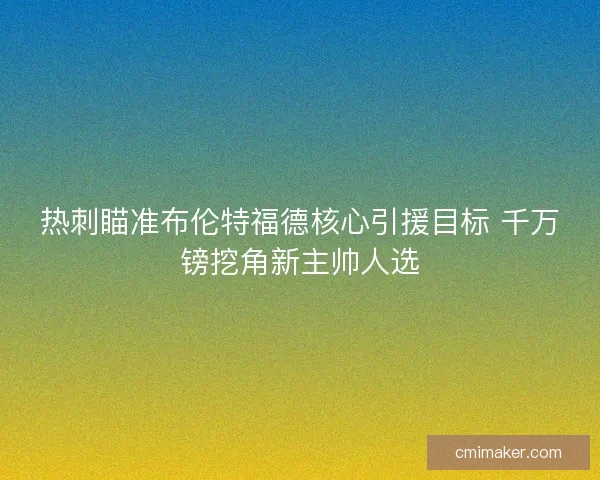 热刺瞄准布伦特福德核心引援目标 千万镑挖角新主帅人选